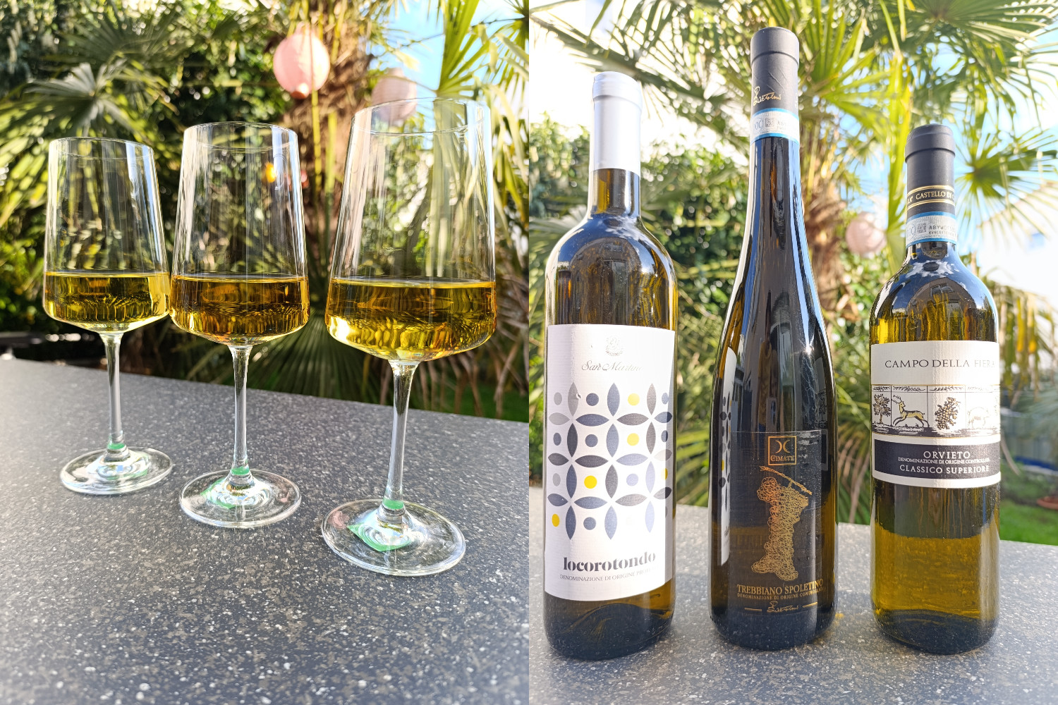 Weissweine aus Italien
