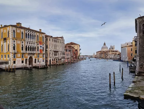 Venedig, Accademia